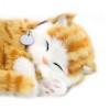 Precious Petzzz Kids Battery Operated Ginger Tabby Toy Cat