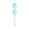 TensCare Fleur Pelvic Floor Exercise Balls