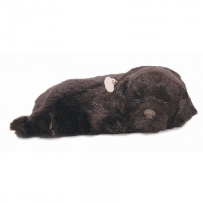 Precious Petzzz Kids Battery Operated Black Labrador Toy Dog