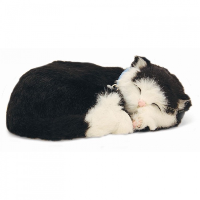 Precious Petzzz Kids Battery Operated Black and White Toy Cat