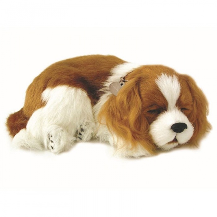 Precious Petzzz Kids Battery Operated Cavalier King Charles Spaniel Toy Dog