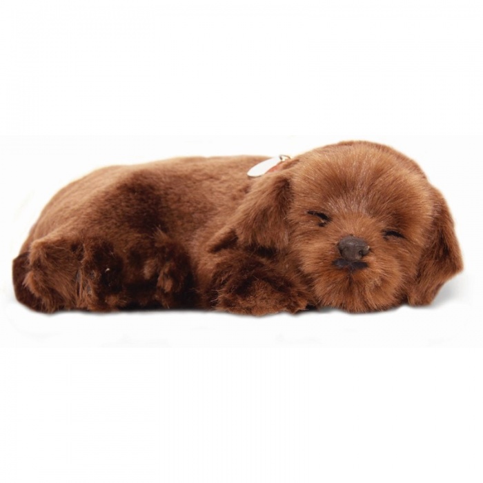 Precious Petzzz Kids Battery Operated Chocolate Labrador Toy Dog