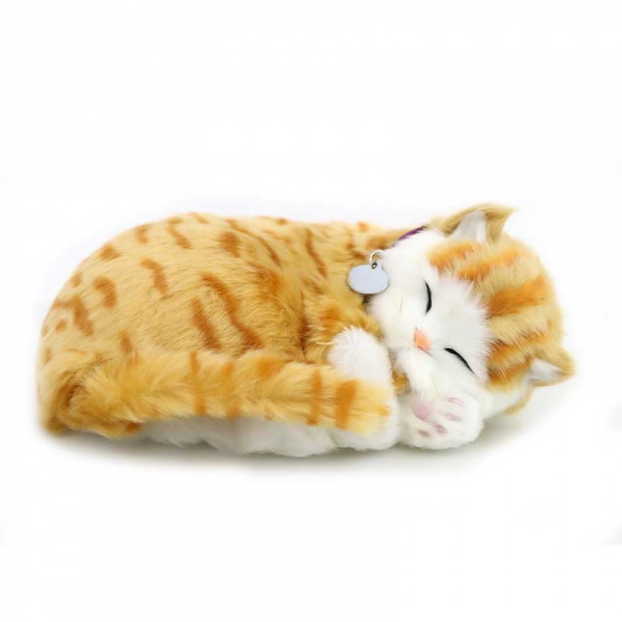 Precious Petzzz Kids Battery Operated Ginger Tabby Toy Cat