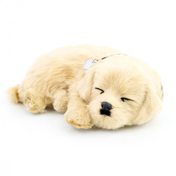 Precious Petzzz Kids Battery Operated Golden Retriever Toy Dog