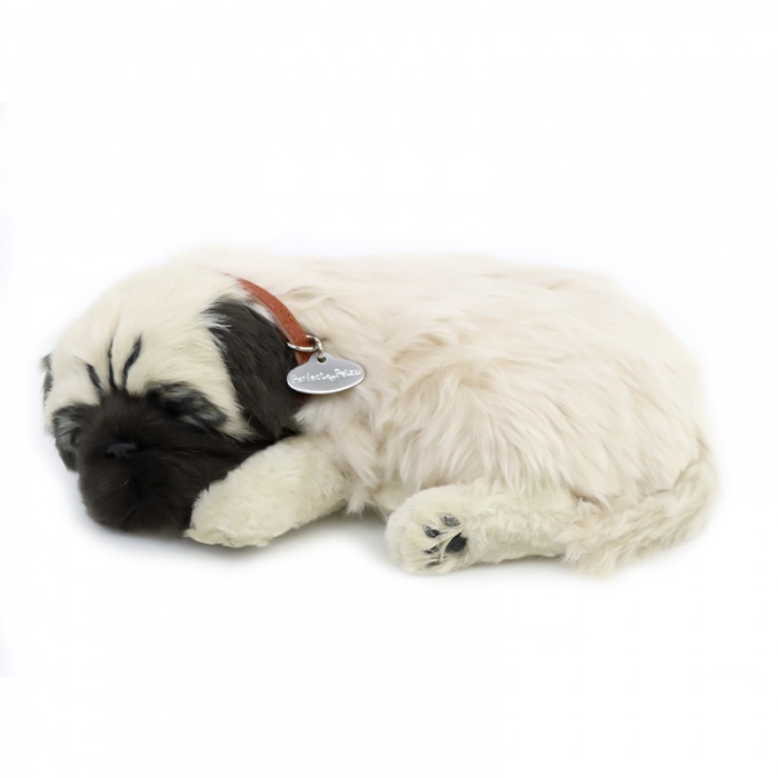 Precious Petzzz Kids Battery Operated Pug Toy Dog
