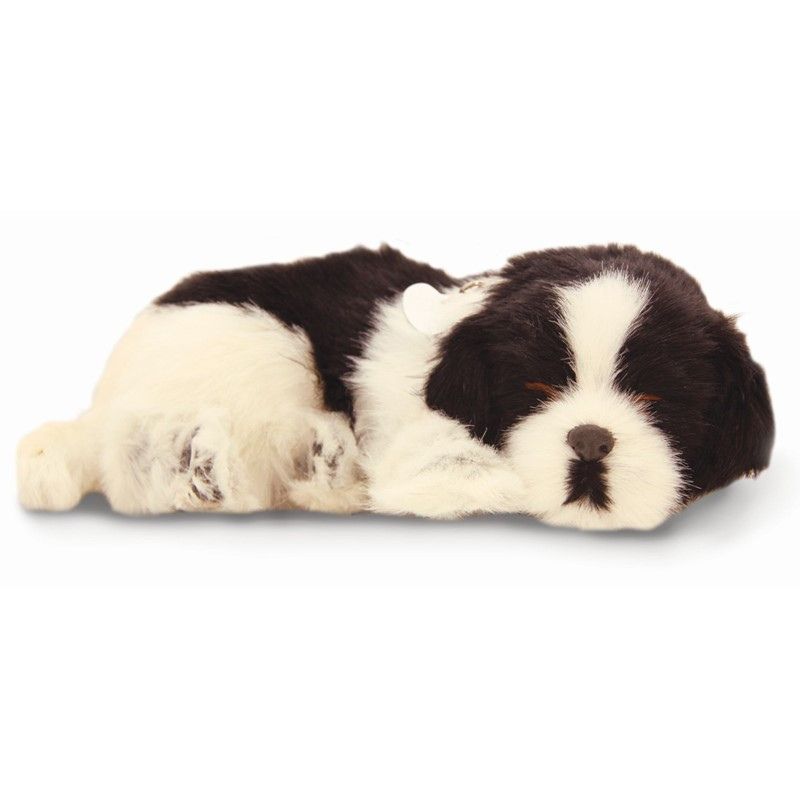 Dog toy shop battery operated