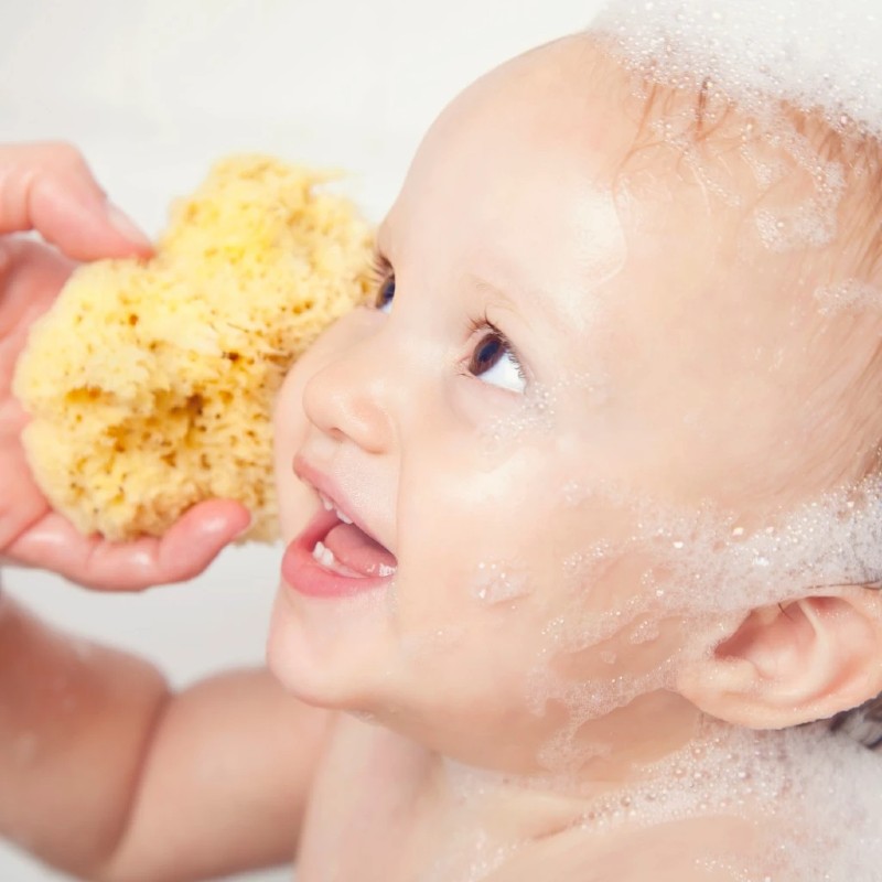 Babies love our Cuddledry Natural Sponges!
